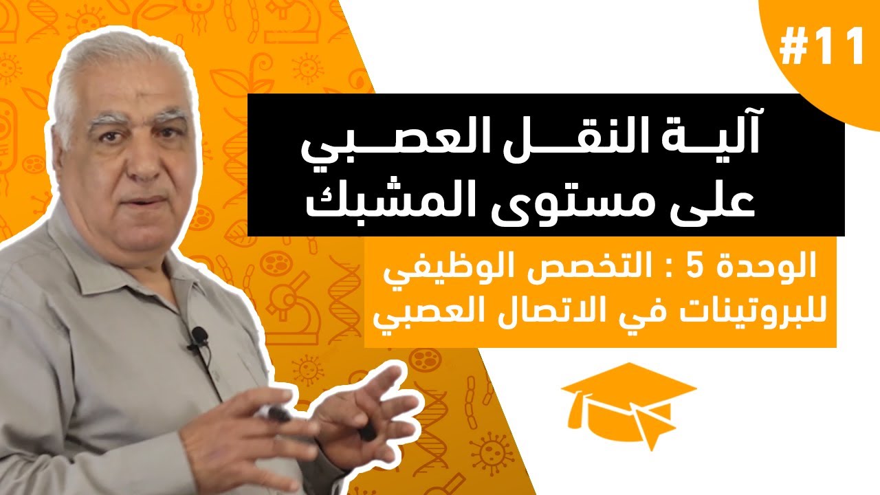 #11 التخصص الوظيفي للبروتينات في الاتصال العصبي : آلية النقل العصبي على مستوى المشبك
