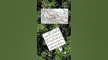 الاية 36، 37،من سورة الروم