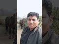 #shayri #video #motivation #trending #shorts