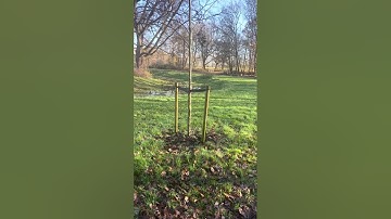 感谢AI ChatGTP 成功帮我避免一场骗局