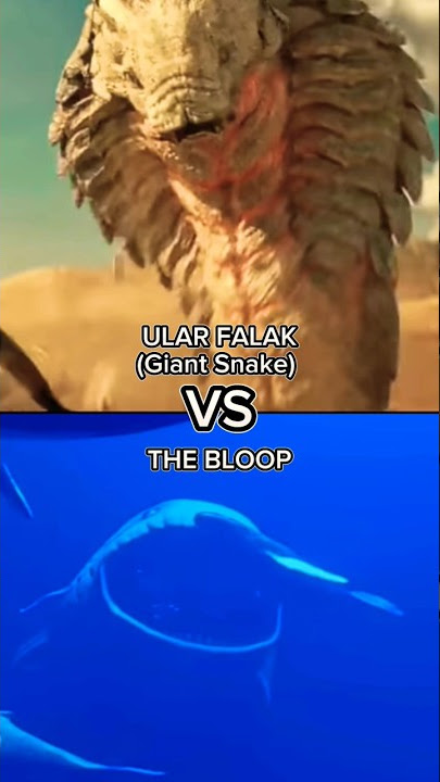 ULAR FALAK(Giant Snake) VS THE BLOOP #ular #falak #vs #bloop #edit #shorts