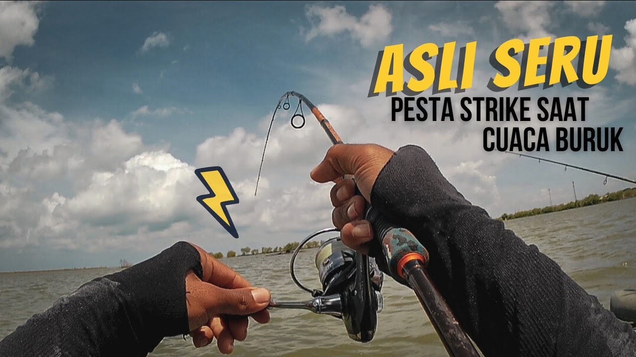 Spot gokil..!! Baru lempar udang pertama langsung disambar baramundi 