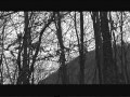 Dark Ambient Vinterriket Grauweiss 