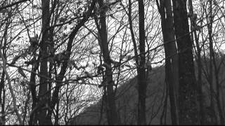 Dark Ambient - Vinterriket - grauweiss