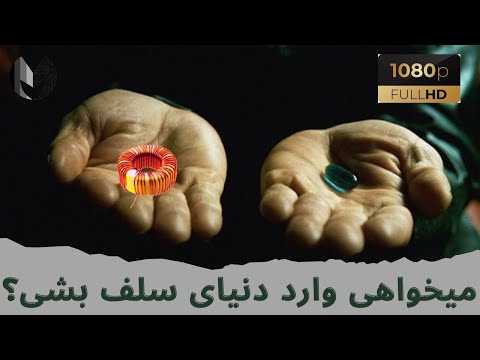 تصویری: سلف Q چیست؟