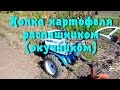 Копаем картошку мотоблоком с распашником(окучником).