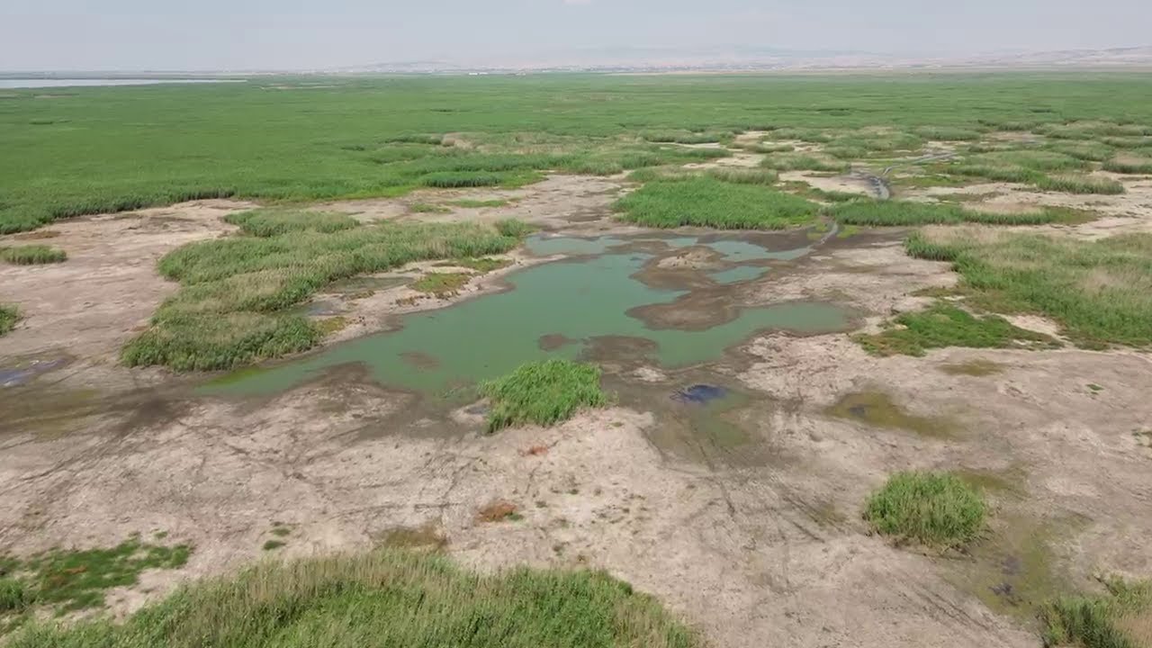 Eber Gölü yok olmanın eşiğine geldi