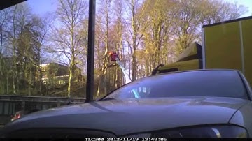 Cutting down a tree - Brinno time lapse video