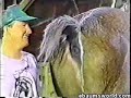 horse fart