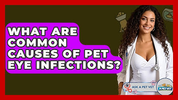 What Are Common Causes Of Pet Eye Infections? - Ask A Pet Vet