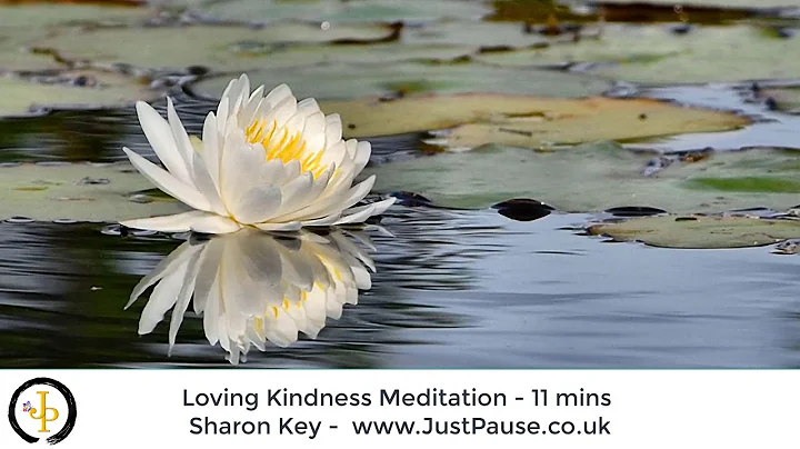 Loving Kindness Meditation - Sharon Key