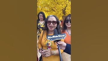 Lễ hội Tết Việt - Phố Ông Đồ đã chính thức khai mạc #HuuNhanKhoai #LearnOnTikTok #ThanhThoiLuotTet