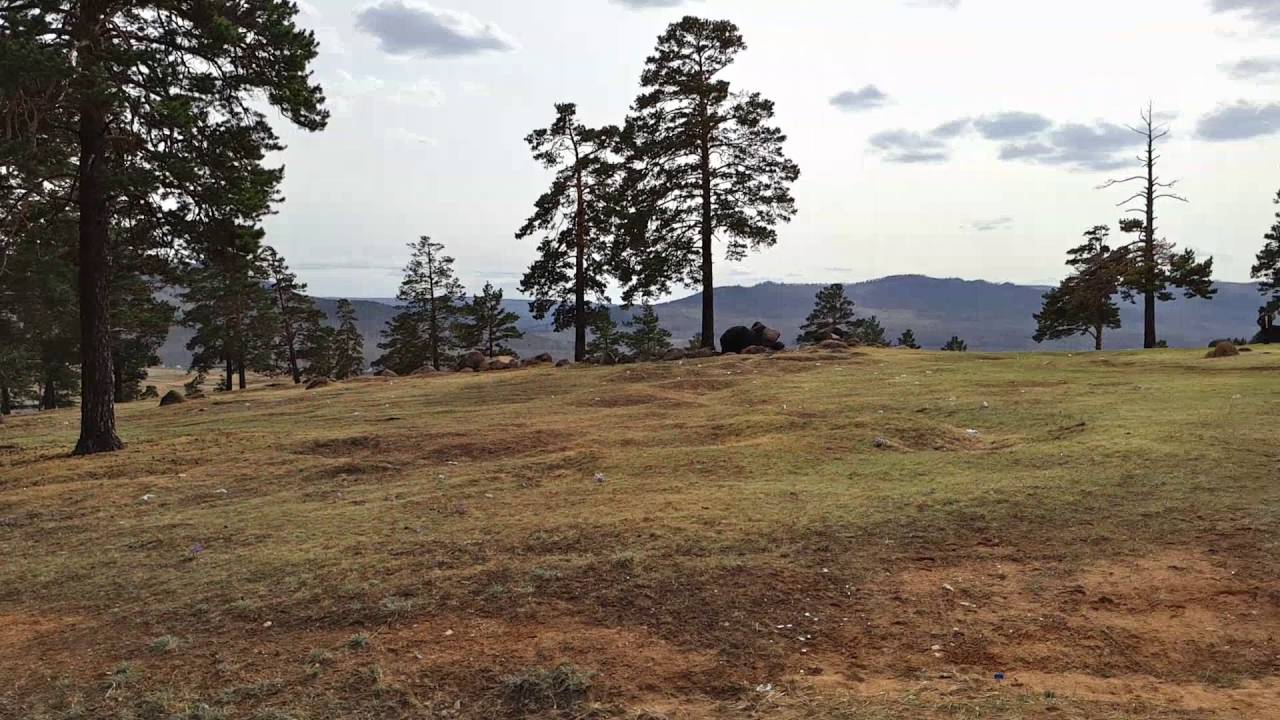 Meizu PRO 5 Video Camera Test