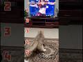 🤣😜சிரிக்காமல் இருக்க முயற்சி செய்யவும் Try not to laugh. level 1127