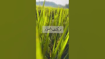 أمن يجيب المضطر إذا دعاه ... مقطع من سورة النمل بصوت الشيخ ياسر الدوسري