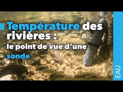 Mesurer l'effet des sources sur les rivières : le point de vue d'une sonde