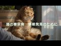 ベーリンガー03 Youtube、Instagram