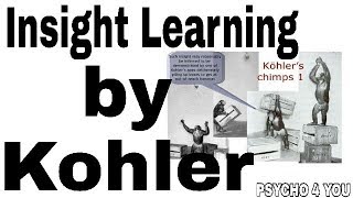 Insight learning by kohler, kofka, wirthemier