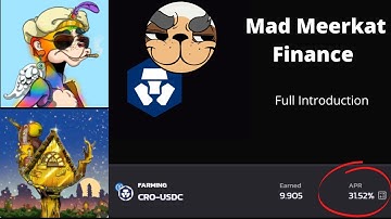 A beginners guide to Mad Meerkat Finance