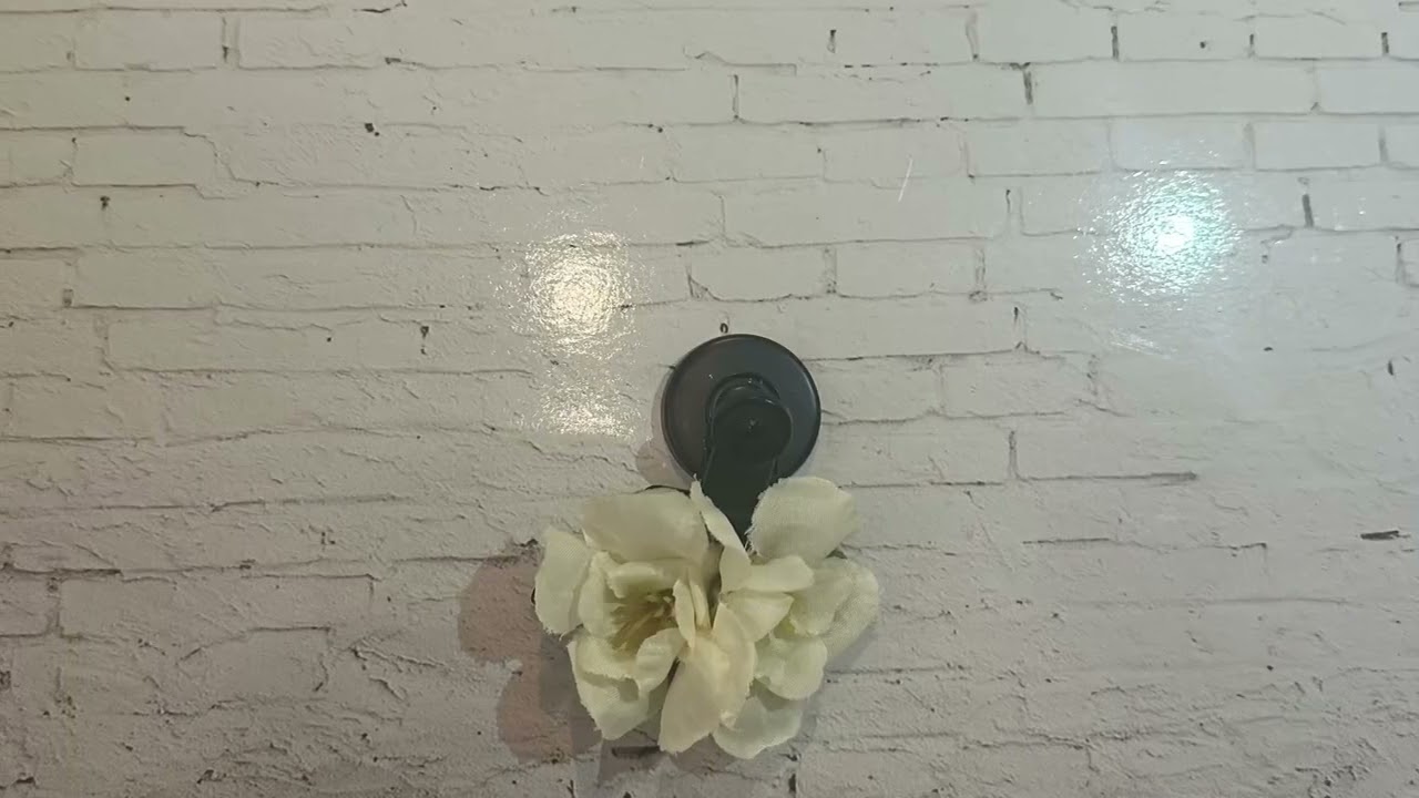 Hair clips for sale please message me for pricing