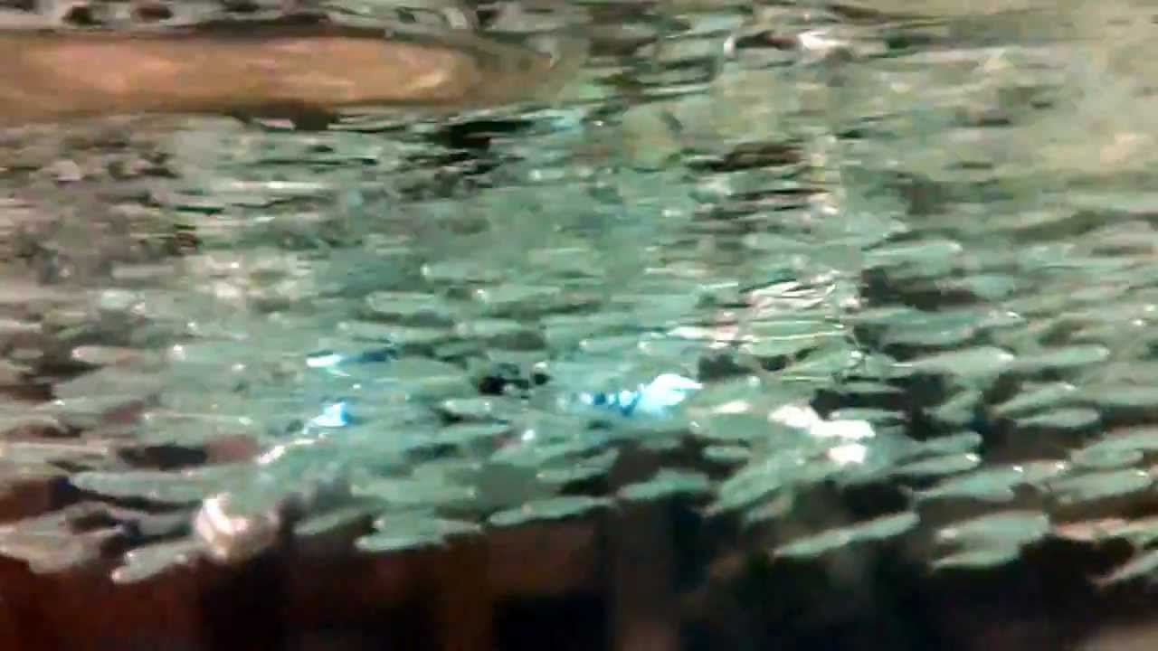 Snorkeling at Xcaret YouTube