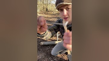 How to make a DEADFALL TRAP 💀 #bushcraft #shorts #survival