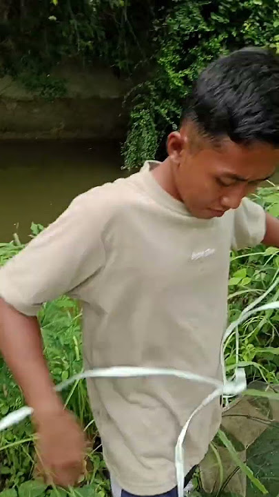Golek iwak ning kali nganggo perangkap wuwu #cooking #makan #makananalami #makananalam