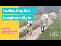 Ladies Day Out