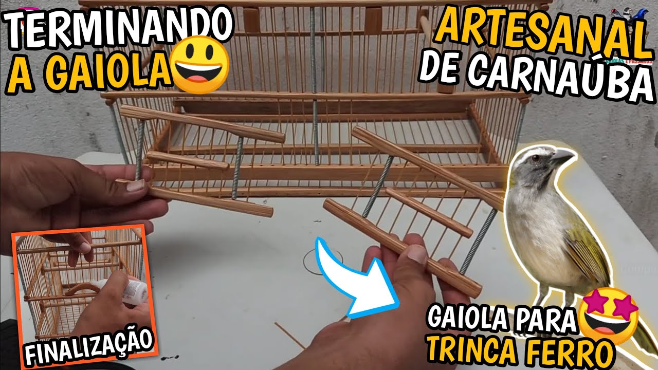 🌴 TERMINANDO O GAIOLA DE TRINCA FERRO | RESULTADO INCRÍVEL 😱 (Gaiola artesanal de carnaúba)
