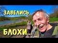 ВИТЕ НУЖЕН СОВЕТ. Новый парник. Ступени уже скоро.