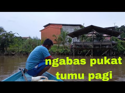 ARAP MEH KE PUKAT NGAMBI KE ENDA LEBU 