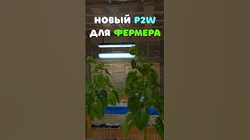 НОВАЯ ЛАМПА Pay to Win облегчает жизнь фермерам в Rust/Раст! #rust #раст