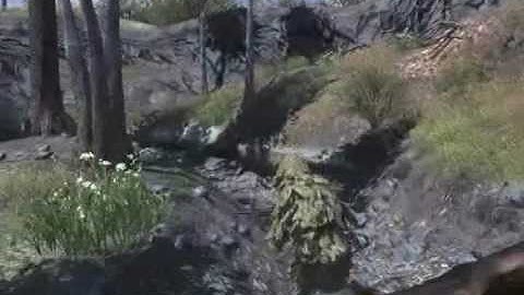 Call of Duty 4 - Funny moments