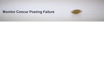 Monitoring and correcting posting errors in SAP Concur : 3. View Scene