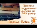 Выборка разделителя Гофмана на 300 рамку