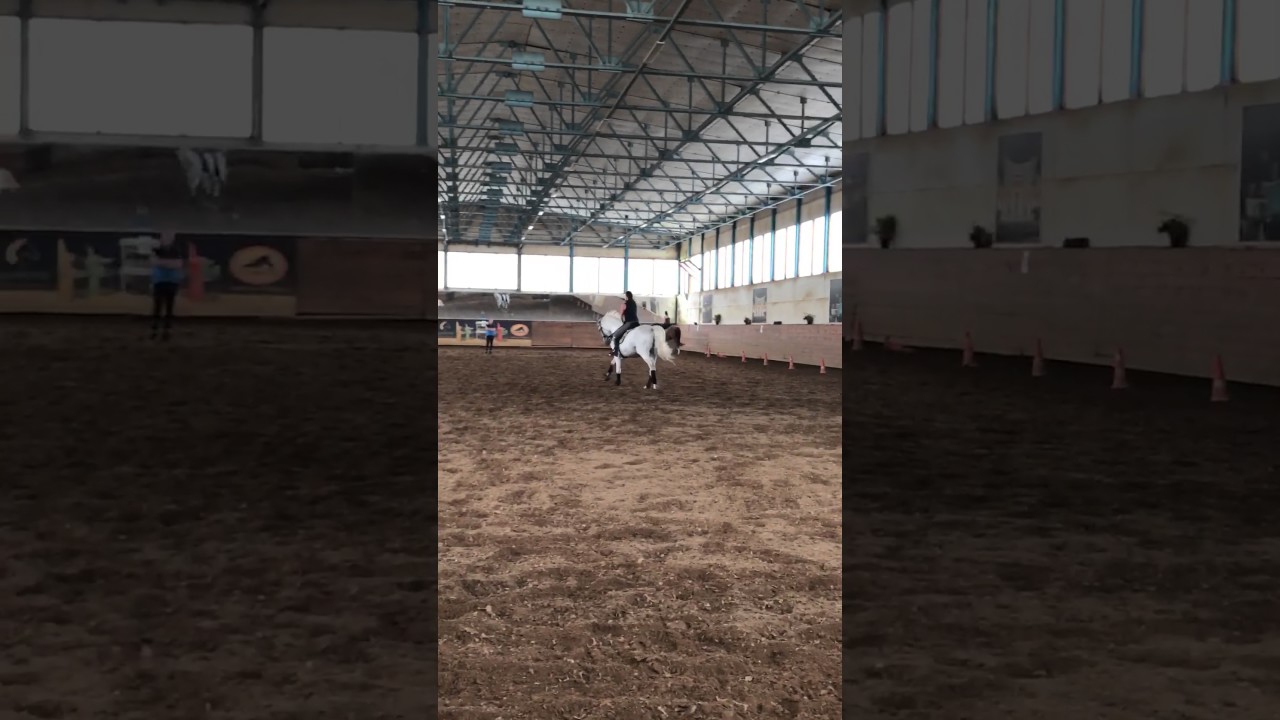 Менки в 4 темпа