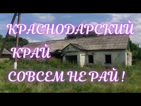 Video: Крымск шаарында жабыркагандарга кантип жардам берүү керек