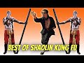 Wu Tang Collection - Best of Shaolin Kung Fu (Subtitulado en ESPAÑOL)