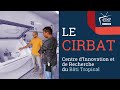 Dcouverte du cirbat  innovation et durabilit dans le bti tropical  la runion 