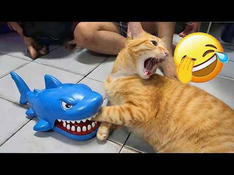 Funniest Cats and Dogs Clips 2026😂Try Not To Laugh🐶🐱