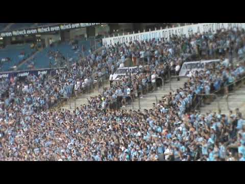 Grêmio 6 x 0 Avenida  - (Gauchão 2019)