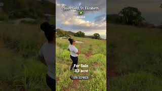 St. Elizabeth will be the beacon of the South Coast. #stelizabeth #jamaicanice #landforsale