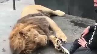 Download lagu Funny video by mad lip s Funny video by mad lip s