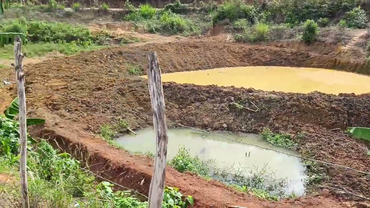ENGENHO BÁLSAMO DA LINHA JAQUEIRA PERNAMBUCO CASSIANO OFICIAL 8141