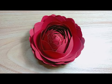 Paper Rose, easy