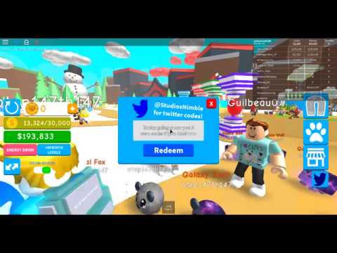 Simulator Simulator