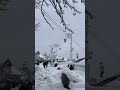 Snowfall after years ❄️Shimla 📍 #feedshorts #snowfall #shimla #winter #shorta !!