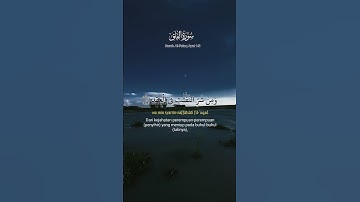 سورة الفلق✨#foryou #surah falak#islmaicvidoes #subscribemychannel #islamicstatus