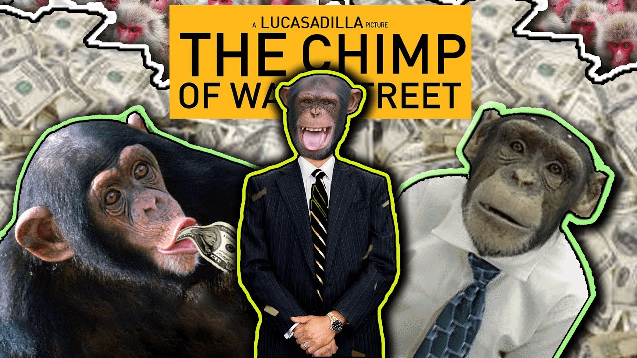 How A Chimp Beat Wall Street