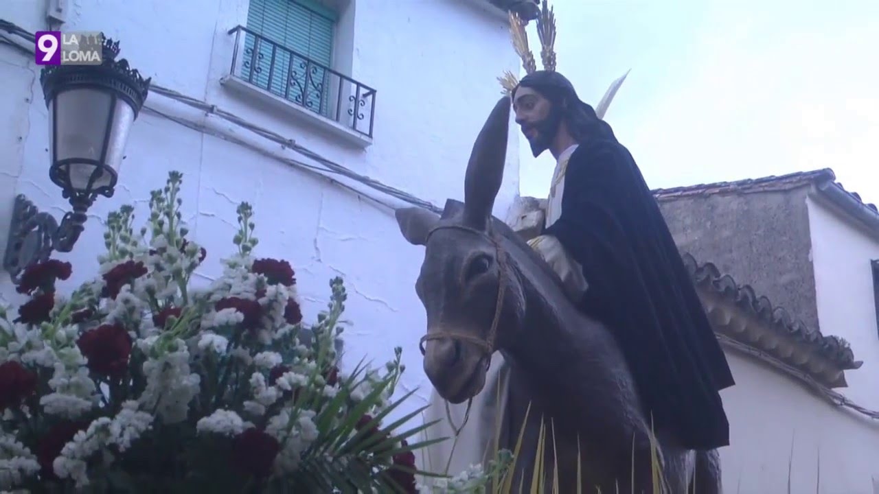 Semana Santa 2016 · Borriquilla, Rus